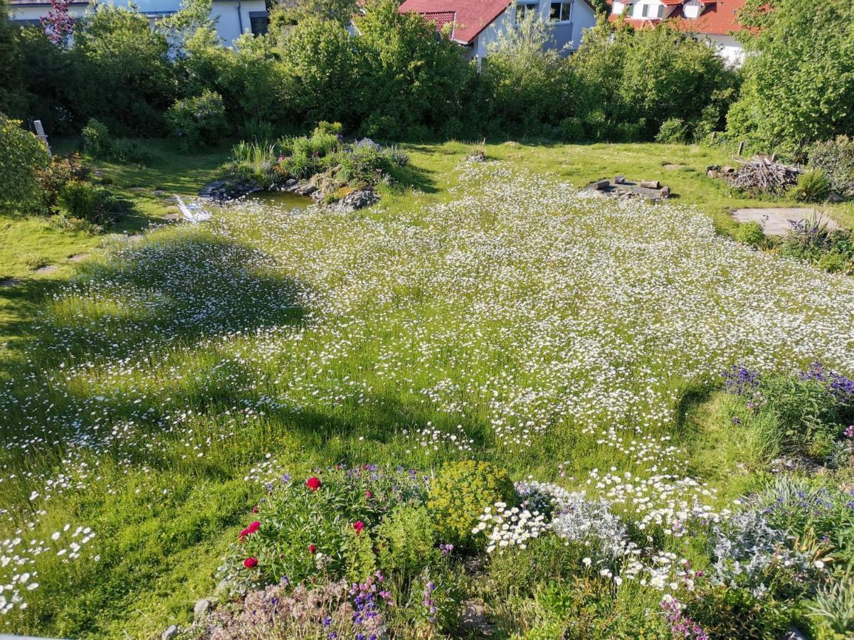 Moderne Ferienwohnung Gartenblick Amtzell Zewnętrze zdjęcie